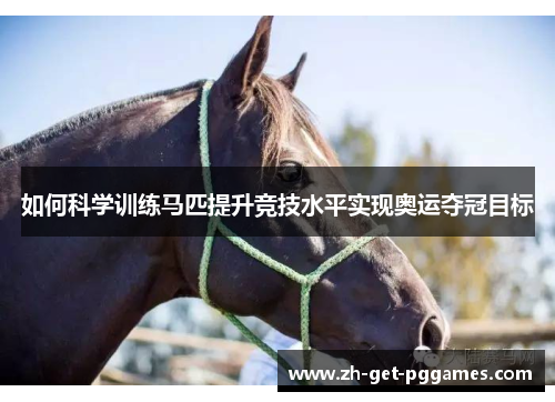 如何科学训练马匹提升竞技水平实现奥运夺冠目标