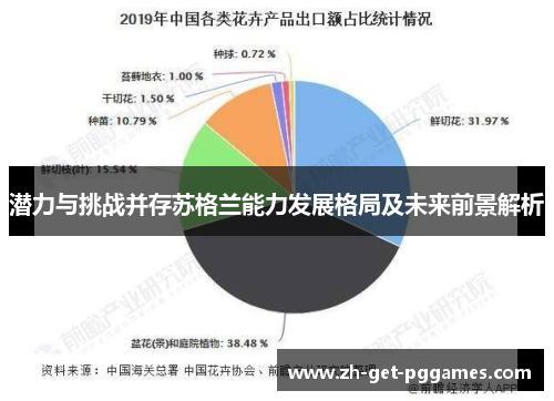 潜力与挑战并存苏格兰能力发展格局及未来前景解析