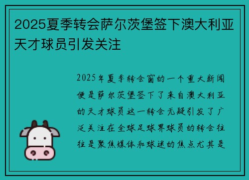 2025夏季转会萨尔茨堡签下澳大利亚天才球员引发关注 2025夏季转会萨尔茨堡签下澳大利亚天才球员引发关注